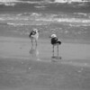 Sharon May (DesignConsultingPlus) > Fun Days at the Beach photo