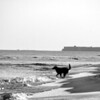 Sharon May (DesignConsultingPlus) > Fun Days at the Beach photo