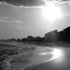 Sharon May (DesignConsultingPlus) > Fun Days at the Beach photo