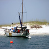 Sharon May (DesignConsultingPlus) > Redneck Fishing Boat